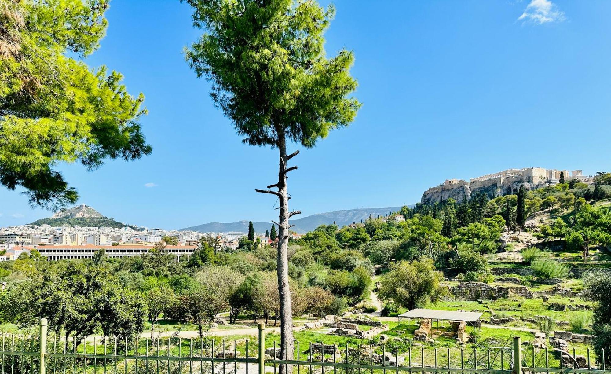 Yuna Penthouse, 100Sqm Private Rooftop Terrasse, Acropolis By Foot Athen Exterior foto